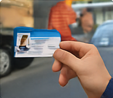 Driving Licence Renewal